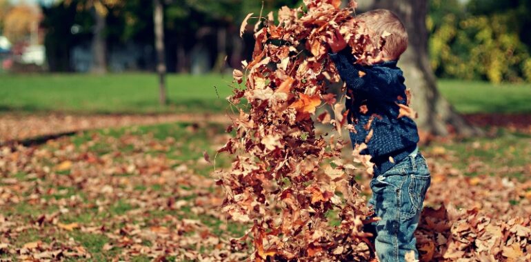 Fall Cleanup